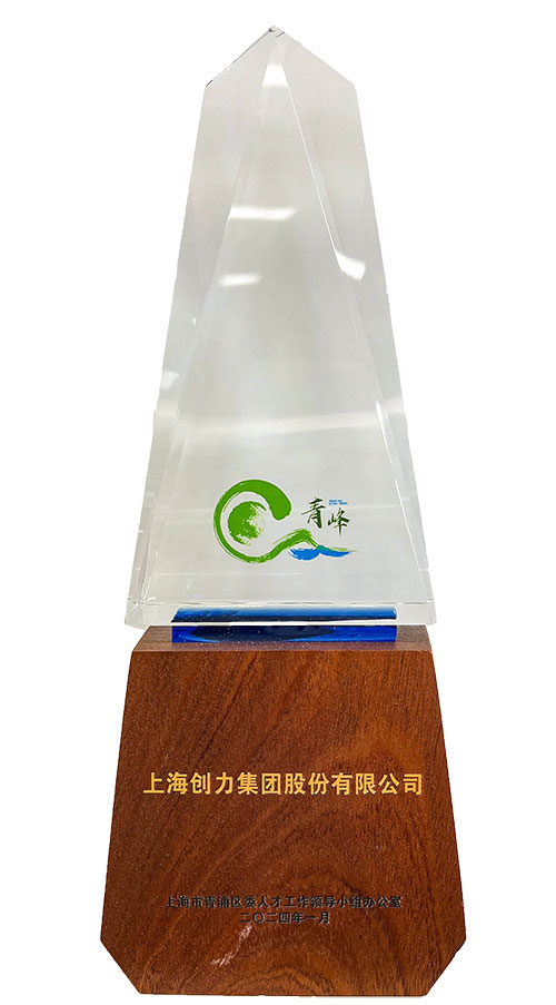 喜報！上海創(chuàng)力集團榮獲2023年度青浦區(qū)百強優(yōu)秀企業(yè)等三項大獎(圖3)